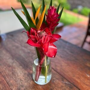 show- 1-50 numbers. Listing for live show